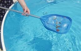 Jednorázová údržba servis bazénů